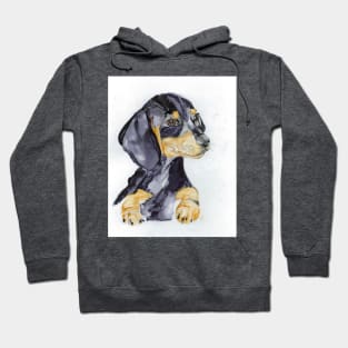 Daisy Dachshund. Hoodie